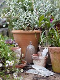 blue sky tea garden containers garden pots garden potting shed