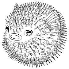 Our coloring pages require the free adobe acrobat reader. Coloring Page With Puffer Fish In Patterned Style Stock Vector Illustration Of Background Black 147821333