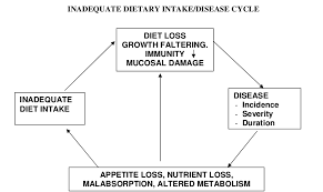 feeding infants and young children during and after illness