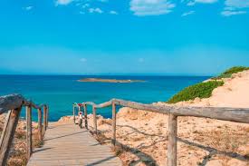 Image result for ugento