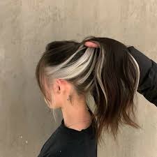These hair dyes will allow you to color your black hair without bleaching it. Black Hair Underneath Hair Color Ideas Novocom Top