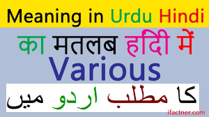 This helps to make the translation process much smoother and adds extra scope to the tool. Various Meaning In Urdu Online English To Hindi Urdu Translation Lesson Youtube