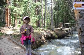 Gentle Slope To The Hiking Trail Picture Of Burro Trail Breckenridge Tripadvisor
