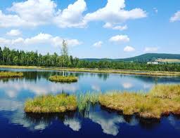 ETA Spotlight: Teal Vickrey, Czech Republic