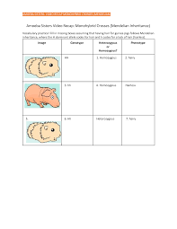 For example, the gene that encodes for a protein that functions as a type of chloride channel is called cftr. Solution Amoeba Sisters Video Recap Monohybrid Crosses Mendelian Worksheet Studypool