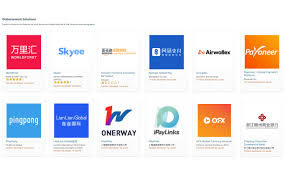 *activation of the full optum pay solution is required to access these features. Contact Your Payment Service Provider For Amazon Payments Before May 31 2021 Seller Union