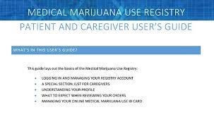 Automobile or homeowner's insurance policy or bill; Florida Medical Marijuana Use Registry Patient And Caregiver User S Guide