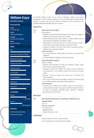 business analyst resume sample: 25+