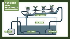 Pin By Erick Bester On Nutirtions Systems In 2021 Film Technique Hydroponics System Hydroponics