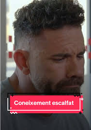 Collar o Arnès? Millor Opció per al teu Gos