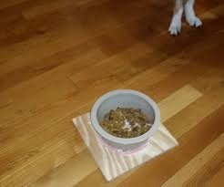 Thingiverse is a universe of things. Diy Anti Ant Dog Bowl 6 Steps With Pictures Instructables
