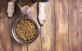 This list answers the questions, what are the biggest cat & dog food companies in the world? and what are the most. Pet Food Institute