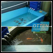 Big Sale Trickle Filter Kolam Ikan Koi 3 Susun Small Biru Dakron Super Di Lapak Warnawarni Shop Bukalapak