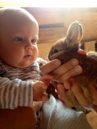 Seth Bernard & May Erlewine (@sethandmay) • Facebook