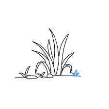 Now add small pebbles and a few tiny blades of grass, scatter them on the ground. How To Draw Grass Step By Step Easy Drawing Guides Drawing Howtos