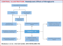The Role Of Nitroglycerin And Other Nitrogen Oxides In