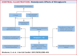 the role of nitroglycerin and other nitrogen oxides in