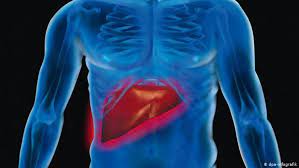 Când hcv intra în fluxul sangvin, acesta îşi găseşte drumul către celulele hepatice în interiorul cărora se multiplică. Transplantul Hepatic O MetodÄƒ De Tratament Greu AccesibilÄƒ In Romania Global Dw 28 07 2019