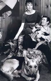 Diane Breck And Peter Breck At Home With Their Shepard Dogs Western Movies Classic Movies Favorite Character
