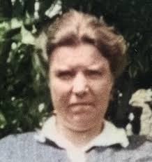 Descendants of Henricus Jansen Doornekamp