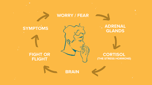 As a general rule of thumb, panic attacks typically come on suddenly, with symptoms reaching their peak after about 10 minutes. Worried Sick Health Anxiety The Do I Have This Disorder