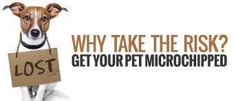 The tool works by searching the databases of participating companies. Beatrice Humane Society What We Do Microchipping