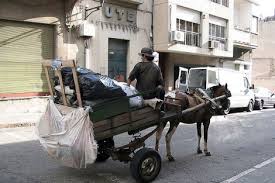Los jugadores pueden entrar en el kentucky derby para. Montevideo Prepara Una Ley Para Prohibir Los Carros Tirados Por Caballos En Sus Calles Noticias Elmundo Es