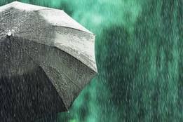 Umbrella Synonyms Merriam Webster Thesaurus