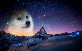 We did not find results for: 99 Funny Zoom Backgrounds Wallpapers Man Of Many