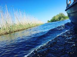 Are lungimea cea mai mare dintre cele trei brate (120km). Cum AratÄƒ Locul De Unde IzvorÄƒÈ™te DunÄƒrea Izvorul Dunarii