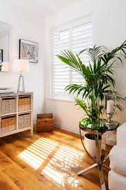 Maybe you would like to learn more about one of these? Shutters Richmond London Just Shutters The Local Shutter Experts