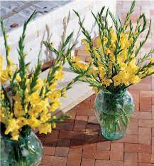 Gallery Flowers Plants Gift Basket Delivery For All Occasions At Royers Com Flower Vase Arrangements Vase Arrangements Gladiolus Arrangements