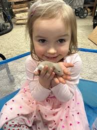 Don't breed rats, many are in need of homes