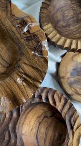 Image result for Terminalia superba