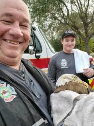 Pasco County Fire Rescue assists in the rescue of a bald eagle Pasco County  Fire Rescue Station 21 heard a knock