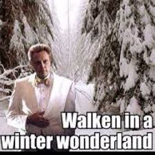 That S Is A Bit Creepy Ya Cuz Christopher Walken Is A Bit Weird Christmas Humor Funny Pictures Walken