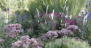 Im Oktober Farbt Sich Das Laub Vieler Pflanzen Im Garten Bereits In Den Leuchtendsten Farben Diese Stauden Trumpfen Jetzt Sogar No Pflanzen Garten Staudenbeet