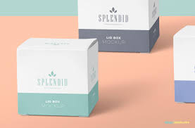 Free Paper Box Mockup Psd Zippypixels Box Mockup Paper Box Packaging Mockup