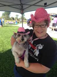 The dogs on this page are looking for their furever home. Meet Little White Dog Rescue Pets In Omaha