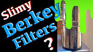We did not find results for: Cleaning Berkey Water Filters Step By Step And Shocking Reveal Youtube