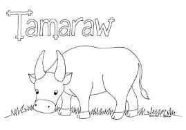 Colour A Tamaraw Craft Activities For Kids Colouring Pages Color