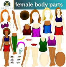 Pin On Human Body Anatomy Teaching Unit