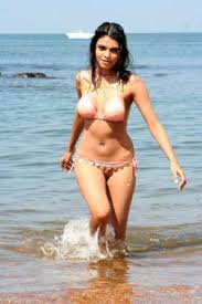 Sherlyn chopra has been in these 14 movies: Bollywood 39 S Frozen Hottie Sherlyn Chopra Aka Mona Chopra Biography