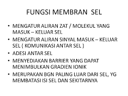 Membran sel merupakan selaput terluar dari sel yang memiliki fungsi yang spesifik tergantung pada jenis komponen utama penyusunnya, yaitu fosfolipid serta protein. Membran Sel Ppt Download