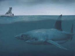 Résultat de recherche d'images pour "animaux marins megalodon"