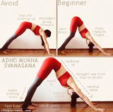 Martina Rando Reveals The Basic Mistakes Most Yoga Beginners Make Healthmedicinet Com