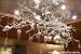 Tree Branch Christmas Decoration
