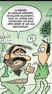 Ali Sahin Adli Kullanicinin Cizgilerin Dili Panosundaki Pin 2020 Kedi Biyik
