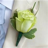 It's where mountains meet music, art meets adventure and culture meets cuisine. Corsages Boutonnieres Gifts Flowers Knoxville Tn Same Day Same Day Flower Delivery Delivery