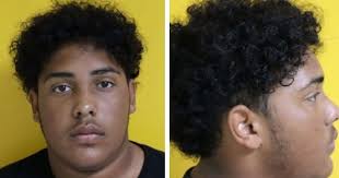 With no shirt or shoes on, Lester Driggers ran into an Arlington home